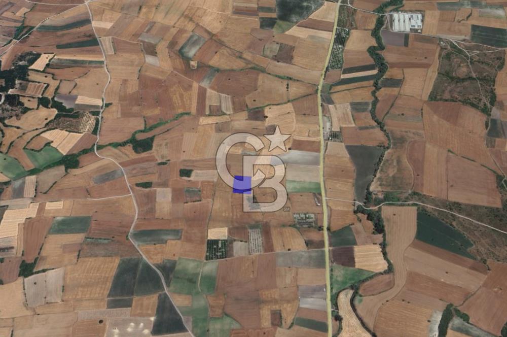 CB KİNG'DEN ORHANLI MAHALLESİ SATILIK TARLA