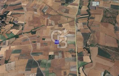 CB KİNG'DEN ORHANLI MAHALLESİ SATILIK TARLA