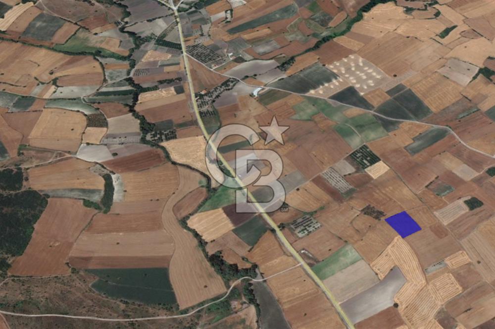 CB KİNG'DEN ORHANLI MAHALLESİ SATILIK TARLA