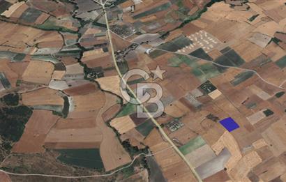 CB KİNG'DEN ORHANLI MAHALLESİ SATILIK TARLA