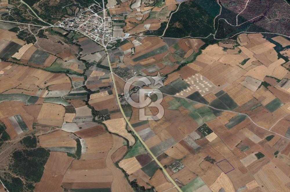 CB KİNG'DEN ORHANLI MAHALLESİ SATILIK TARLA