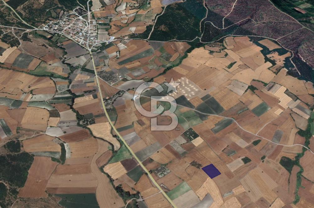 CB KİNG'DEN ORHANLI MAHALLESİ SATILIK TARLA