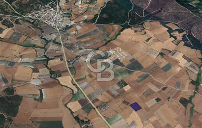 CB KİNG'DEN ORHANLI MAHALLESİ SATILIK TARLA