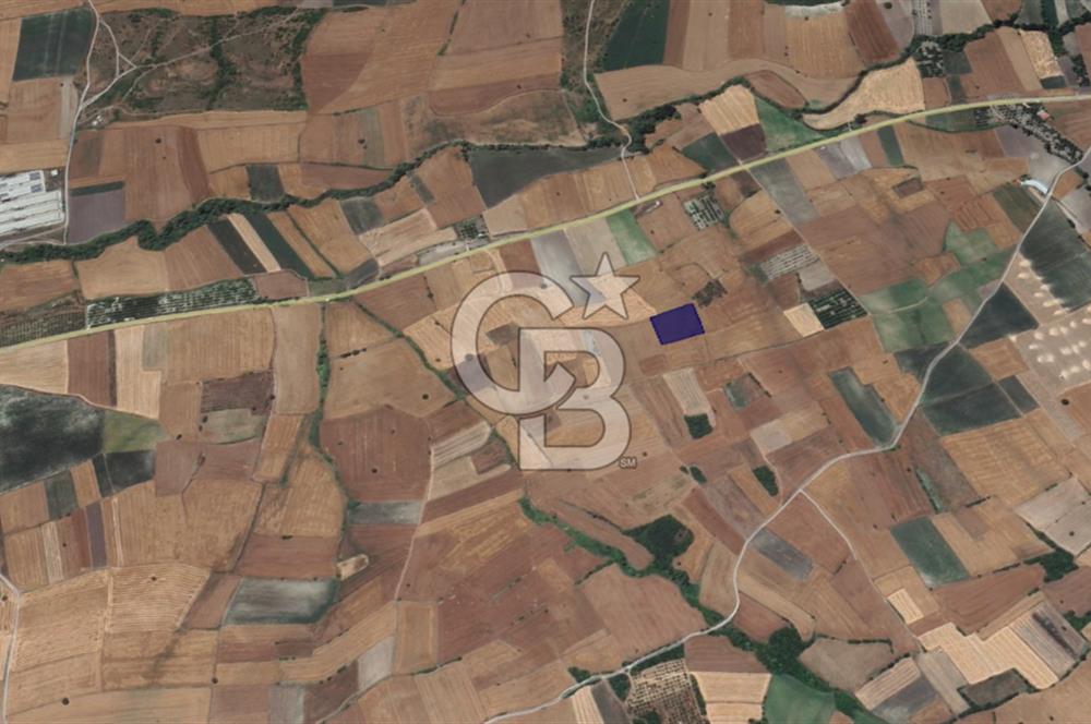 CB KİNG'DEN ORHANLI MAHALLESİ SATILIK TARLA