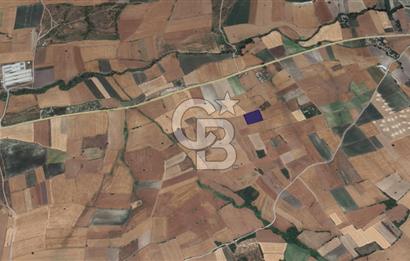 CB KİNG'DEN ORHANLI MAHALLESİ SATILIK TARLA