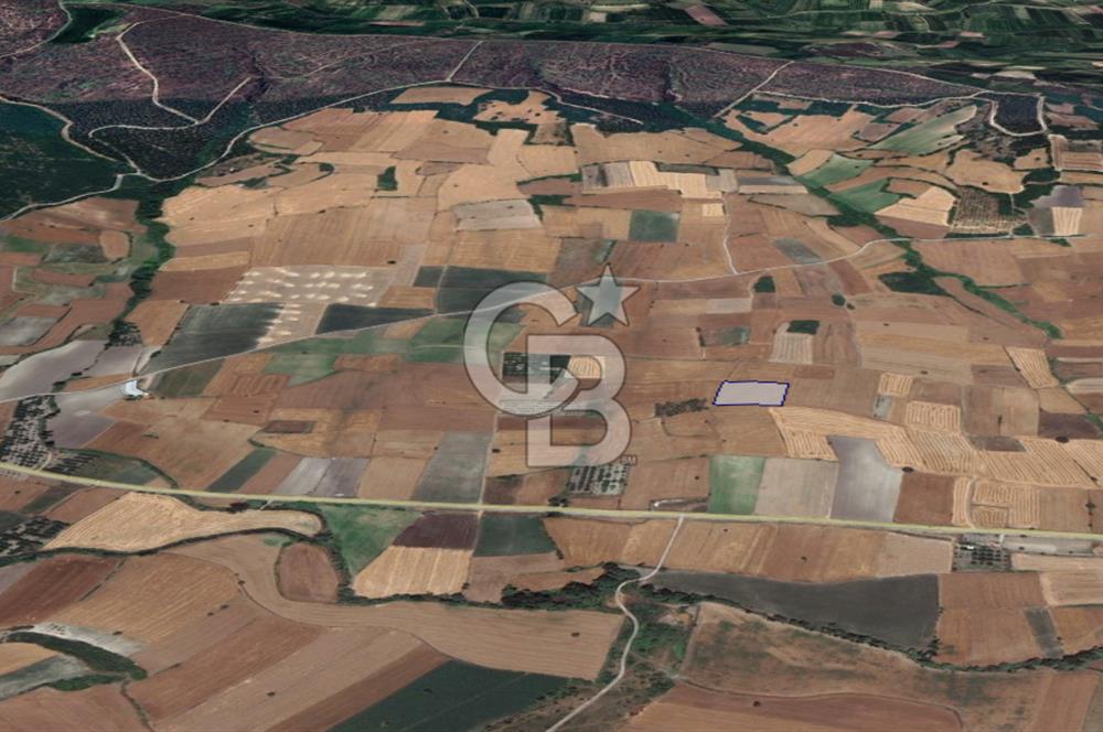 CB KİNG'DEN ORHANLI MAHALLESİ SATILIK TARLA