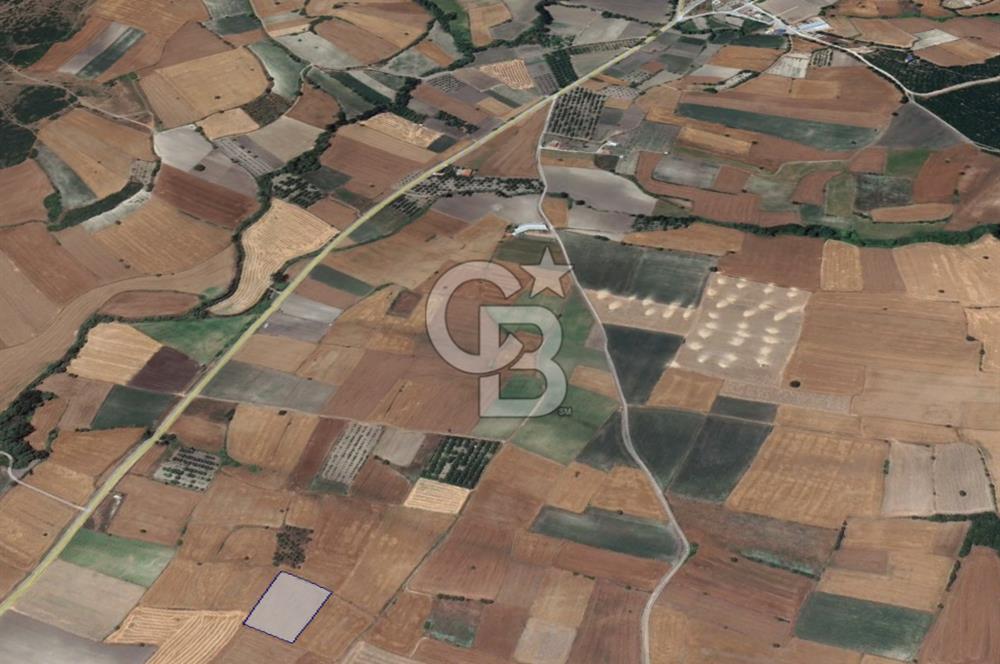 CB KİNG'DEN ORHANLI MAHALLESİ SATILIK TARLA