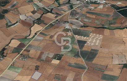 CB KİNG'DEN ORHANLI MAHALLESİ SATILIK TARLA