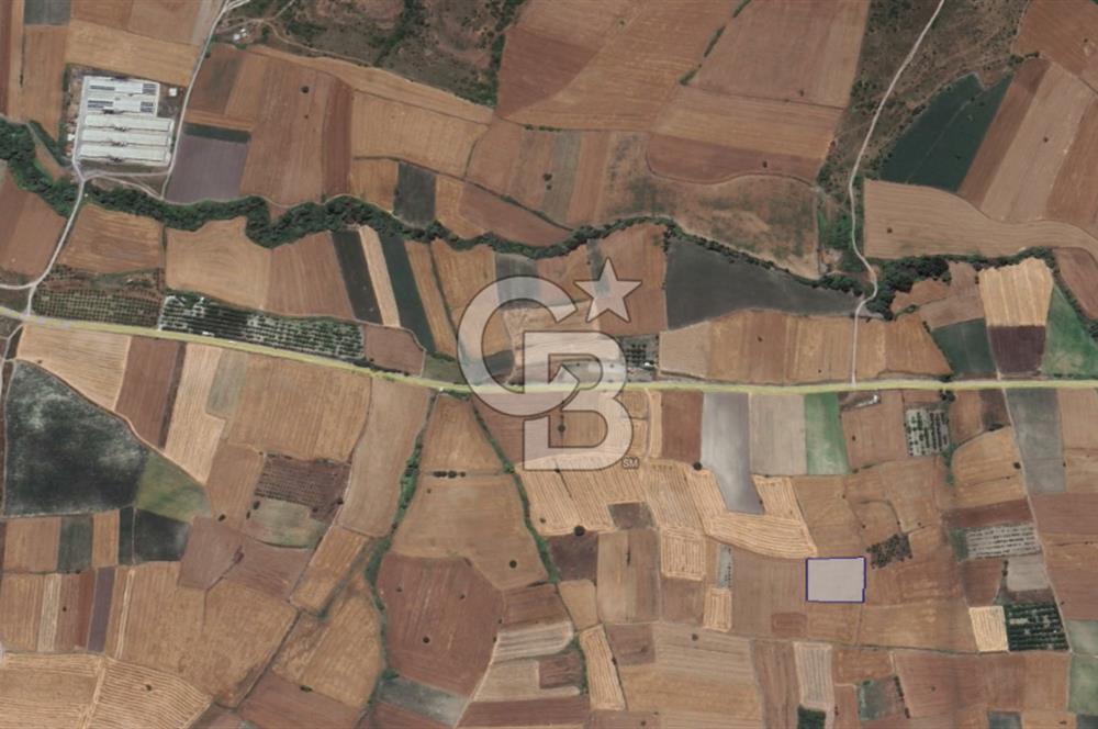 CB KİNG'DEN ORHANLI MAHALLESİ SATILIK TARLA