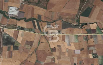 CB KİNG'DEN ORHANLI MAHALLESİ SATILIK TARLA