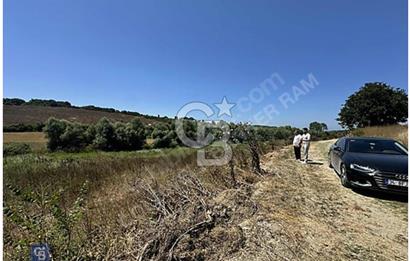 ACİLLL SATILIK TEK TAPU