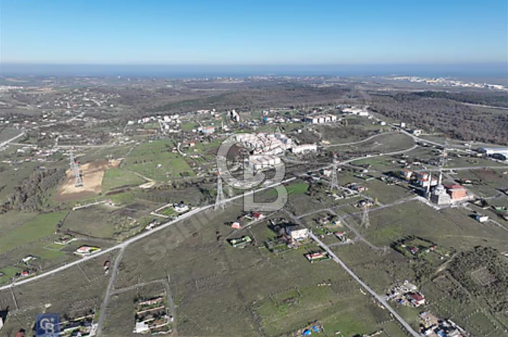 TAŞOLUK FATİH MAHALLESİNDE SATILIK TEK TAPU ARSA