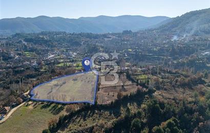 MUĞLA DOKUZÇAM DA MUSTAKIL TAPULU KARGIR EV VE 11 DÖNÜM TARLA 