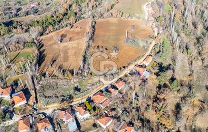 MUĞLA DOKUZÇAM DA MUSTAKIL TAPULU KARGIR EV VE 11 DÖNÜM TARLA 