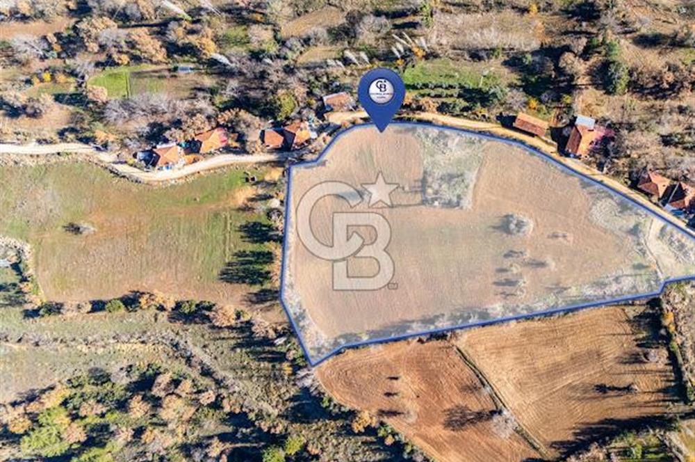 MUĞLA DOKUZÇAM DA MUSTAKIL TAPULU KARGIR EV VE 11 DÖNÜM TARLA 