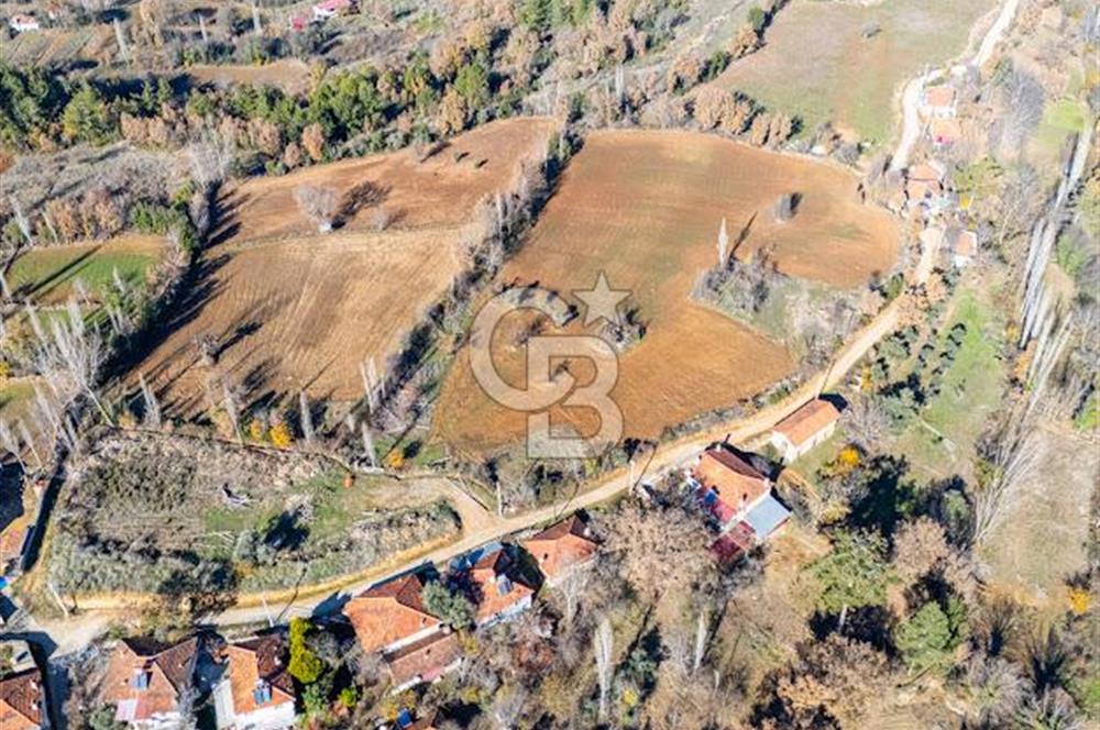 MUĞLA DOKUZÇAM DA MUSTAKIL TAPULU KARGIR EV VE 11 DÖNÜM TARLA 