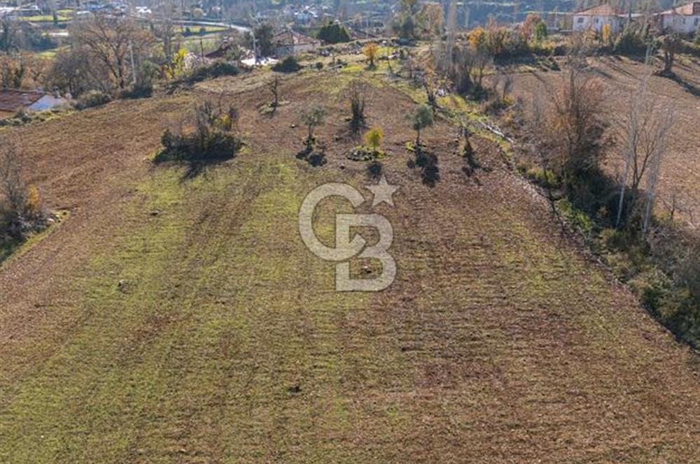 MUĞLA DOKUZÇAM DA MUSTAKIL TAPULU KARGIR EV VE 11 DÖNÜM TARLA 