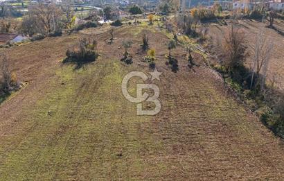 MUĞLA DOKUZÇAM DA MUSTAKIL TAPULU KARGIR EV VE 11 DÖNÜM TARLA 