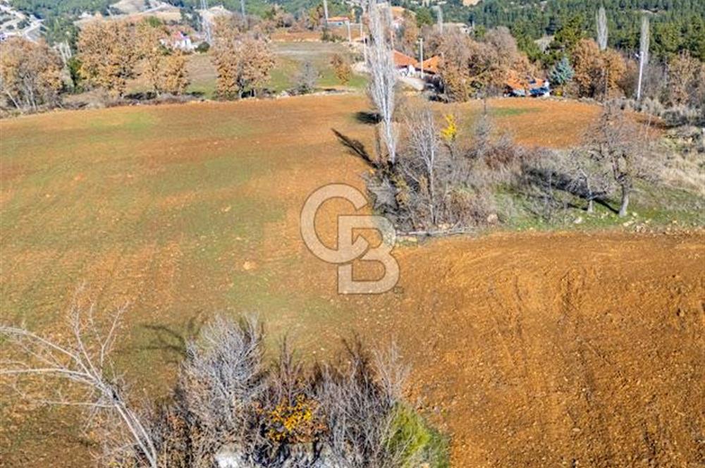 MUĞLA DOKUZÇAM DA MUSTAKIL TAPULU KARGIR EV VE 11 DÖNÜM TARLA 
