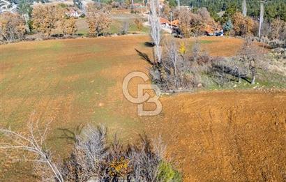 MUĞLA DOKUZÇAM DA MUSTAKIL TAPULU KARGIR EV VE 11 DÖNÜM TARLA 