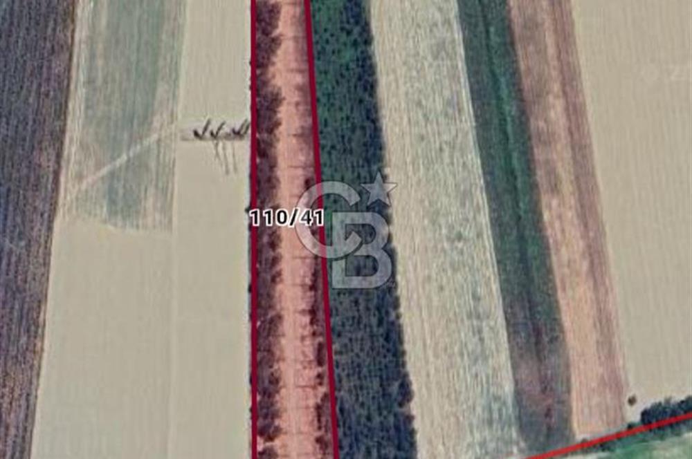 AKYAKA'DA TİNY HOUSE KÖYÜ'NDE YAŞAMA FIRSATI