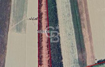 AKYAKA'DA TİNY HOUSE KÖYÜ'NDE YAŞAMA FIRSATI