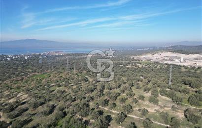 ŞAKRAN’DA DENİZ MANZARALI SATILIK 19423 M2 FIRSAT ZEYTİNLİK