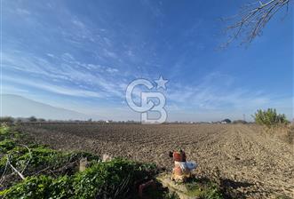 MANİSA OTOBÜS TERMİNALİ YAKINI SATILIK TARLA - 6 - 323165