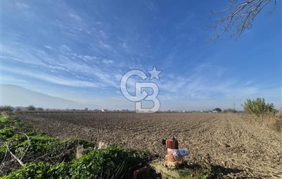 MANİSA OTOBÜS TERMİNALİ YAKINI SATILIK TARLA