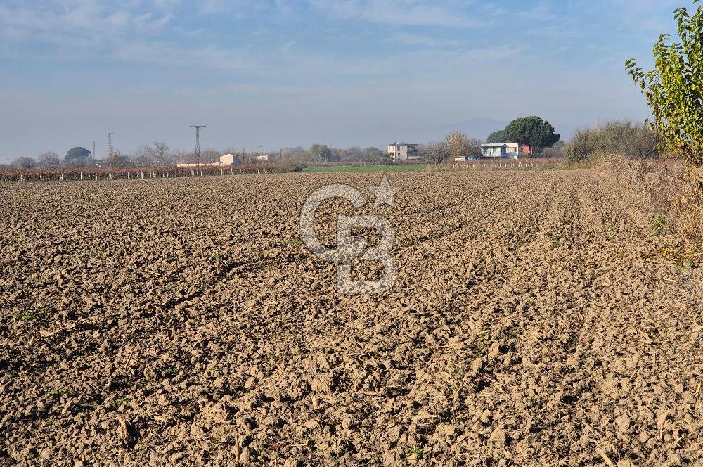 MANİSA OTOBÜS TERMİNALİ YAKINI SATILIK TARLA