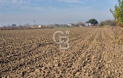 MANİSA OTOBÜS TERMİNALİ YAKINI SATILIK TARLA
