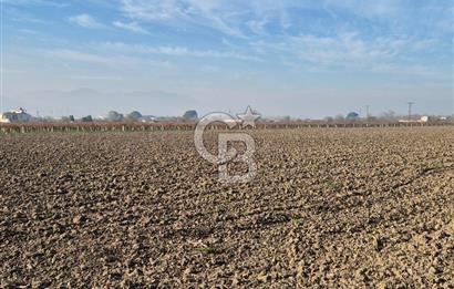 MANİSA OTOBÜS TERMİNALİ YAKINI SATILIK TARLA