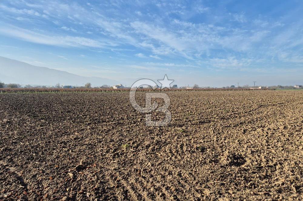 MANİSA OTOBÜS TERMİNALİ YAKINI SATILIK TARLA