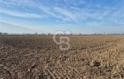 MANİSA OTOBÜS TERMİNALİ YAKINI SATILIK TARLA