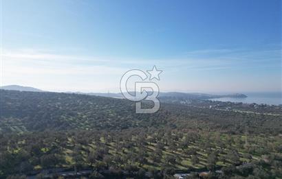 ŞAKRAN’DA DENİZ MANZARALI SATILIK 19423 M2 FIRSAT ZEYTİNLİK