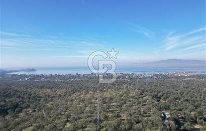 ŞAKRAN’DA DENİZ MANZARALI SATILIK 19423 M2 FIRSAT ZEYTİNLİK