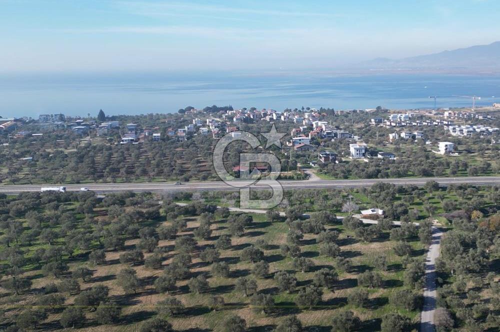 ŞAKRAN’DA DENİZ MANZARALI SATILIK 19423 M2 FIRSAT ZEYTİNLİK