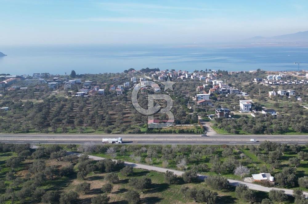 ŞAKRAN’DA DENİZ MANZARALI SATILIK 19423 M2 FIRSAT ZEYTİNLİK