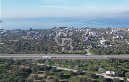 ŞAKRAN’DA DENİZ MANZARALI SATILIK 19423 M2 FIRSAT ZEYTİNLİK