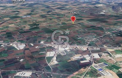 MENEMEN TÜRKELLİ'DE GEDİZ KIYISINA YAKIN SATILIK HOBİ BAHÇESİ