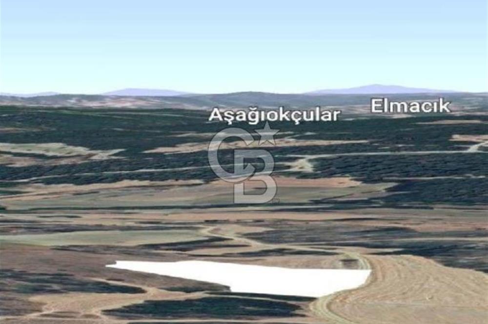 ECEABAT/BEHRAMLI'DA FIRSAT FİYATA"6122M2" SÜPER ARAZİ