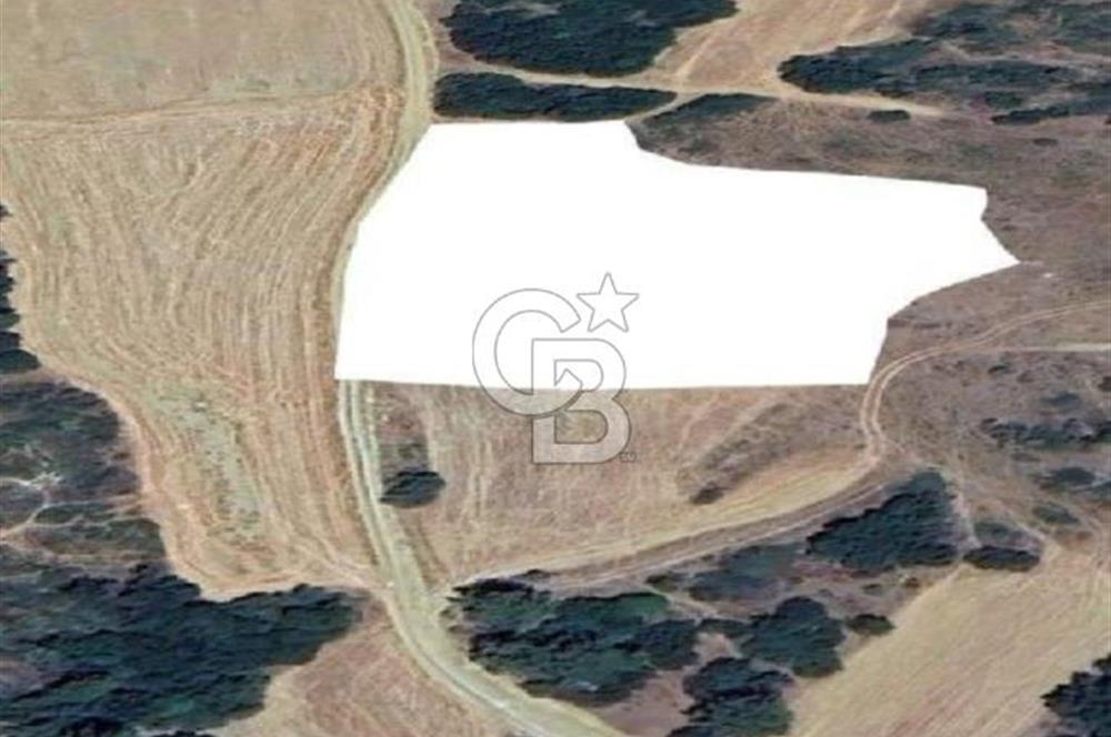ECEABAT/BEHRAMLI'DA FIRSAT FİYATA"6122M2" SÜPER ARAZİ