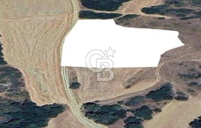 ECEABAT/BEHRAMLI'DA FIRSAT FİYATA"6122M2" SÜPER ARAZİ