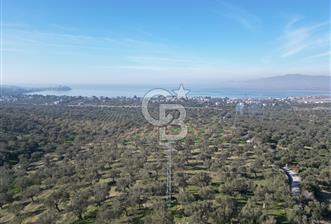 ŞAKRAN’DA DENİZ MANZARALI SATILIK 19423 M2 FIRSAT ZEYTİNLİK - 8 - 323159