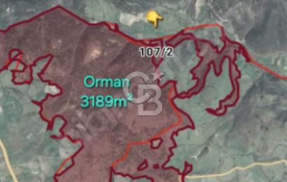 ÇANAKKALE/BİGA/PAŞAÇAYI'NDA"FIRSAT FİYATA"18.858M²"ARAZİ.