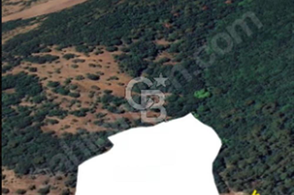 ÇANAKKALE/BİGA/PAŞAÇAYI'NDA"FIRSAT FİYATA"18.858M²"ARAZİ.