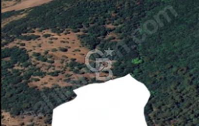 ÇANAKKALE/BİGA/PAŞAÇAYI'NDA"FIRSAT FİYATA"18.858M²"ARAZİ.