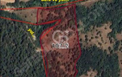 ÇANAKKALE/BİGA/PAŞAÇAYI'NDA"FIRSAT FİYATA"18.858M²"ARAZİ.