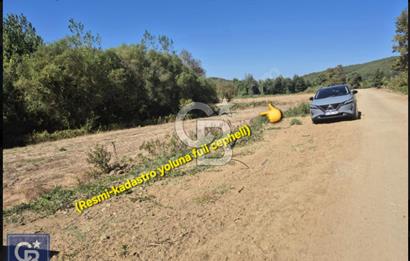 LAPSEKİ GÜRECİ'DE KÖPRÜYE VE ANAYOLA YAKIN"4248M²"SÜPER ARAZİ.