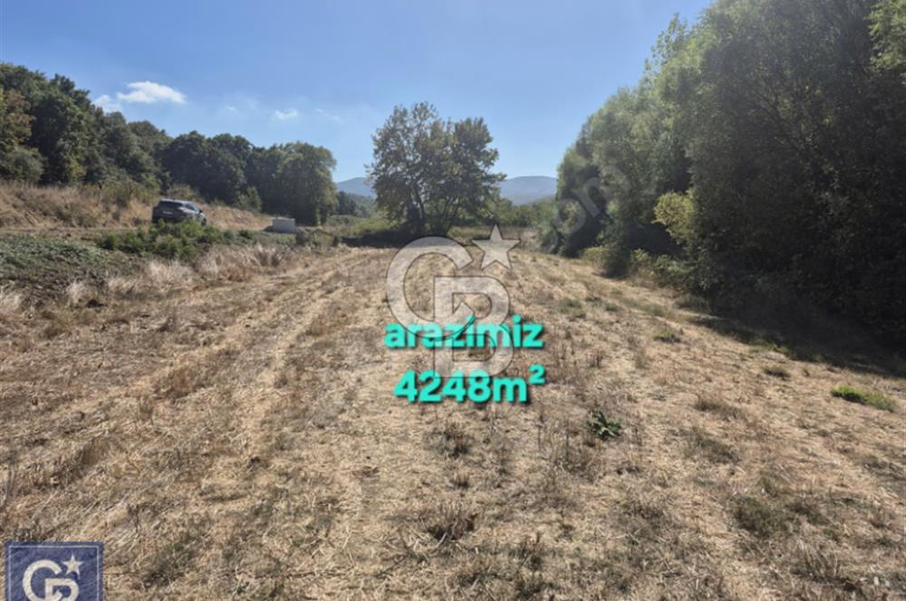 LAPSEKİ GÜRECİ'DE KÖPRÜYE VE ANAYOLA YAKIN"4248M²"SÜPER ARAZİ.